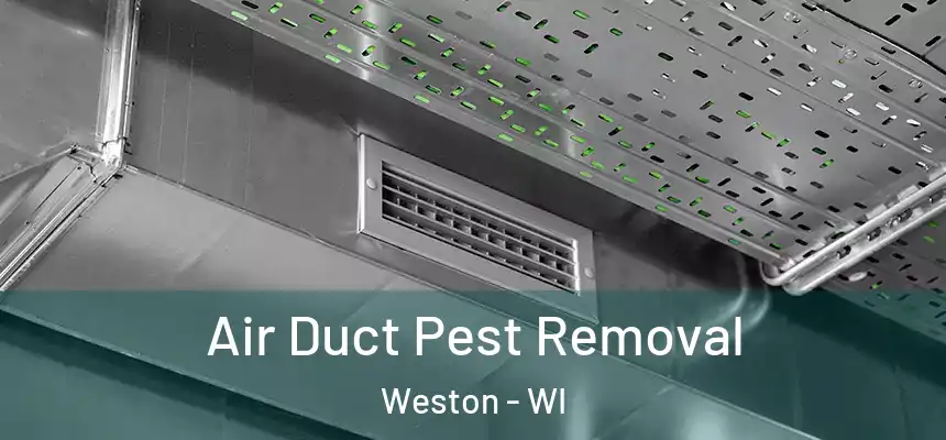 Air Duct Pest Removal Weston - WI