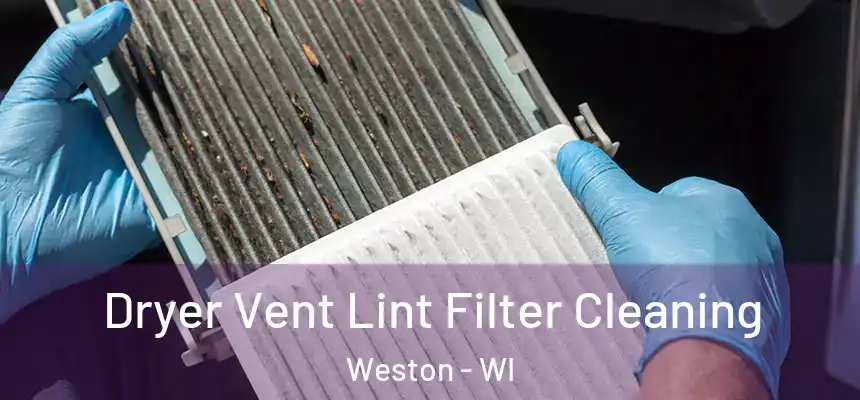  Dryer Vent Lint Filter Cleaning Weston - WI