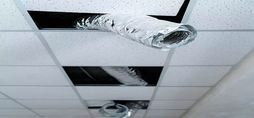 Our Air Duct Pet Hair Removal Services in Weston, WI