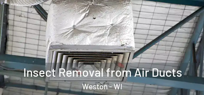 Insect Removal from Air Ducts Weston - WI