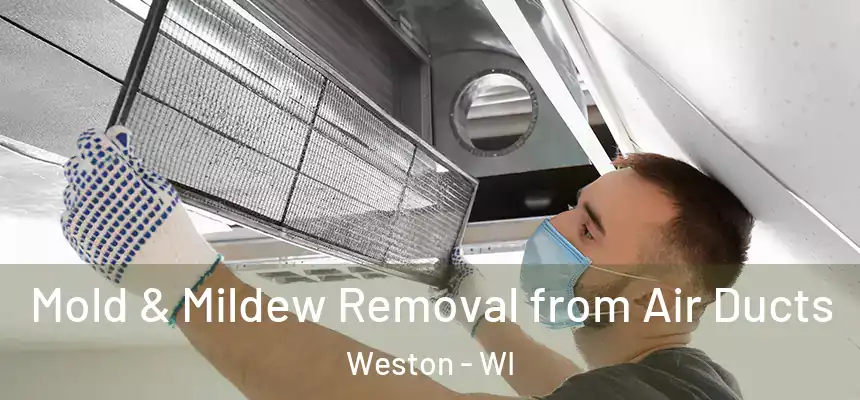 Mold & Mildew Removal from Air Ducts Weston - WI