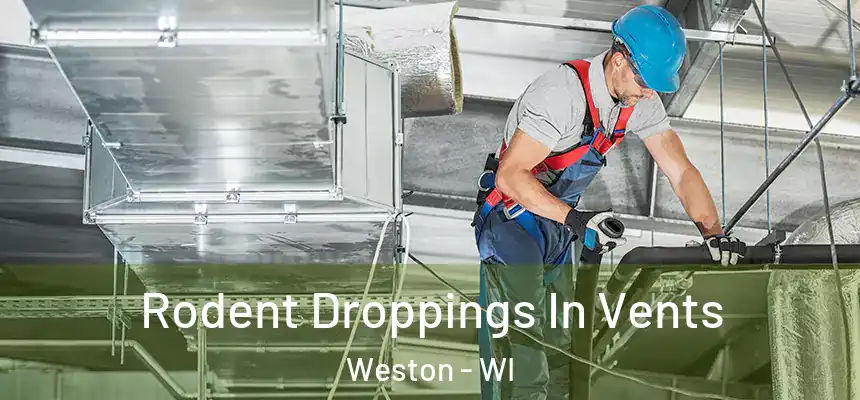  Rodent Droppings In Vents Weston - WI