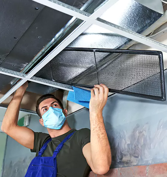 About Air Duct Bacteria Removal in Weston