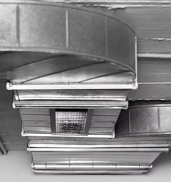 Professional Air Duct Pest Removal in Weston, WI