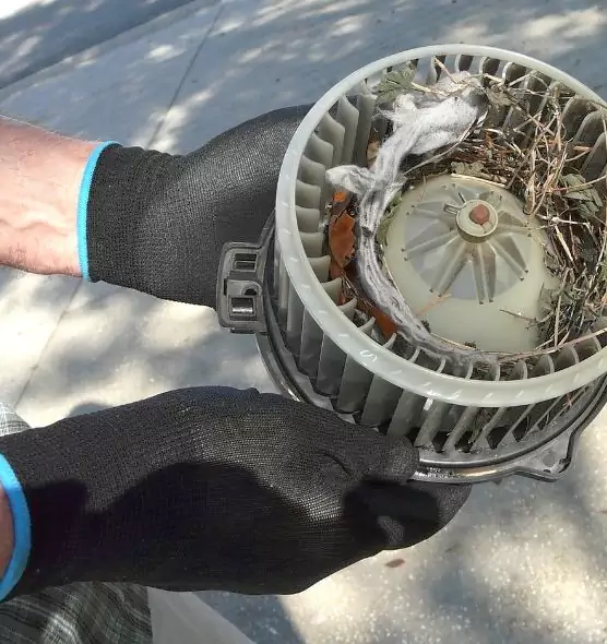 About Air Duct Rat Removal in Weston, WI