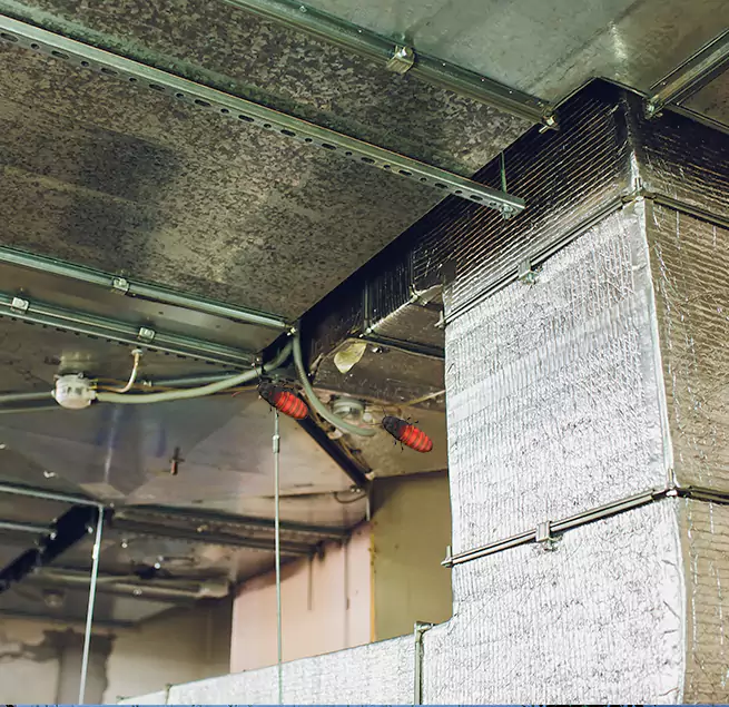 Why Homeowners & Businesses Trust Us in Weston, WI?