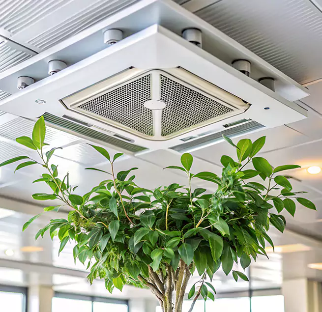 Why Homeowners & Businesses Trust Us in Weston, WI